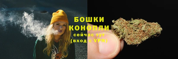 ешки Дмитровск